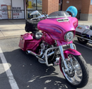 Tamco Paint You Cant Sit With Us Pink in Harley-Davidson Street Glide