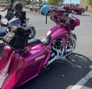 Tamco Paint You Cant Sit With Us Pink in Harley-Davidson Street Glide