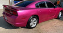 Tamco Paint You Cant Sit With Us Pink on 2013 Dodge Charger