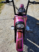 Tamco Paint You Cant Sit With Us Pink on Harley Davidson