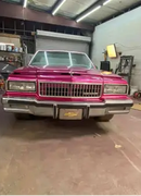 Tamco Paint You Cant Sit With Us Pink on 1973 Chevrolet Caprice