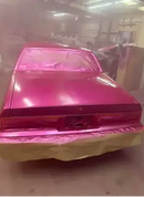 Tamco Paint You Cant Sit With Us Pink on 1973 Chevrolet Caprice