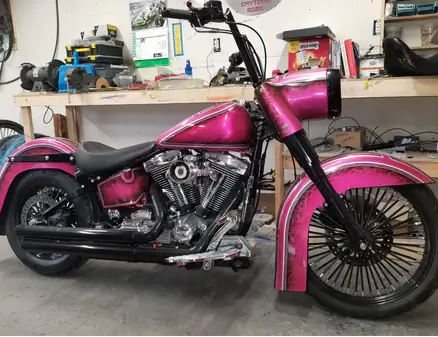 Tamco Paint You Cant Sit With Us Pink on Harley Davidson
