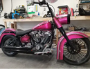 Tamco Paint You Cant Sit With Us Pink on Harley Davidson