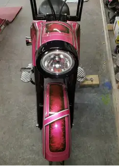 Tamco Paint You Cant Sit With Us Pink on Harley Davidson