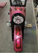 Tamco Paint You Cant Sit With Us Pink on Harley Davidson