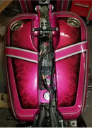 Tamco Paint You Cant Sit With Us Pink on Harley Davidson