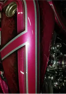 Tamco Paint You Cant Sit With Us Pink on Harley Davidson