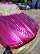 Tamco Paint You Cant Sit With Us Pink on Chevrolet Cadillac