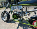 Tamco Paint Yuengling Green in Doodle Bug Mini Bike