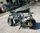 Tamco Paint Yuengling Green in Doodle Bug Mini Bike