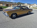Tamco Paint Goldmember on 1966 Chevrolet Chevelle