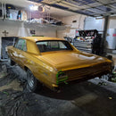 Tamco Paint Goldmember on 1966 Chevrolet Chevelle