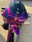 Tamco Paint HooDoo VooDoo Candy Concentrate on Kawasaki ZX-10R