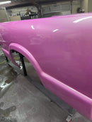 Tamco Paint Pretty In Pink CAR PART