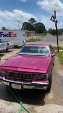 Tamco Paint 1973 Chevrolet Caprice You Cant Sit With Us Pink