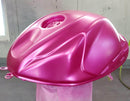 Tamco Paint Motor Part You Can't Sit With Us Pink 