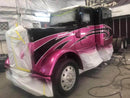 Tamco Paint Peterbilt You Cant Sit With Us Pink