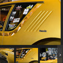 Tamco Paint  Golden Pearl Basecoat