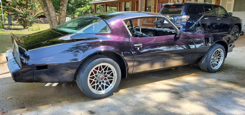 Tamco Paint 190 Pontiac Firebird Black Sinister Triple Reboot Purple