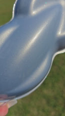 Tamco Paint Custom Color Astral Diamond