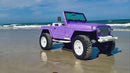 Tamco Paint Lavender Lust Pearl in Jeep Wrangler