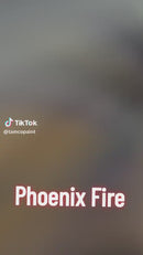 Tamco Paint Custom Color Phoenix Fire 