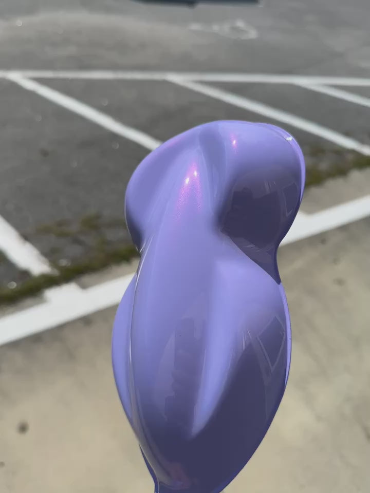 Tamco Paint  Lavender Lust Pearl  Speed Shape    