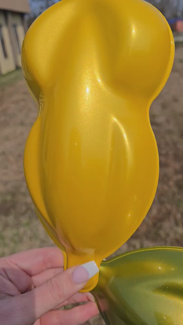 Tamco Paint Custom Color Golden Lime 