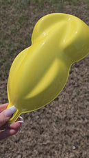 Tamco Paint Custom Color Despicable Yellow