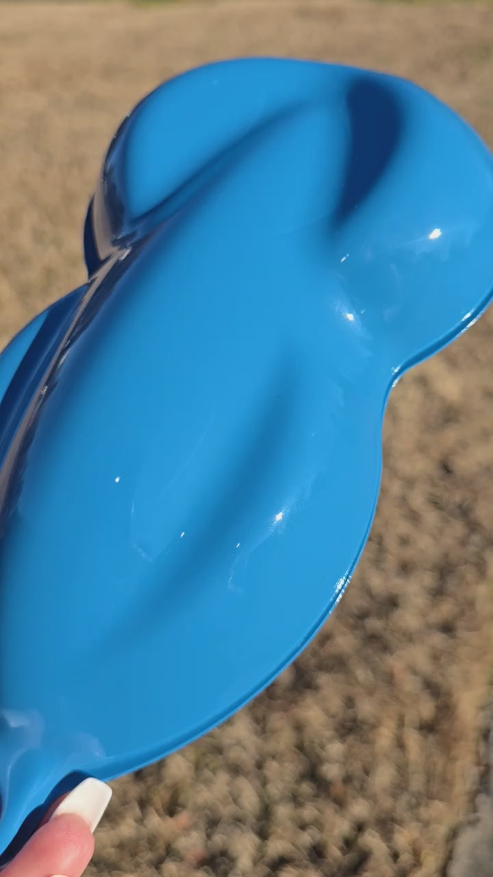 Tamco Paint Customer Color Rover Island Blue b y Edward Lynch