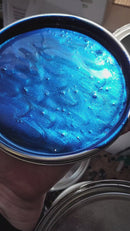 Ford Bright Dark Blue Metallic