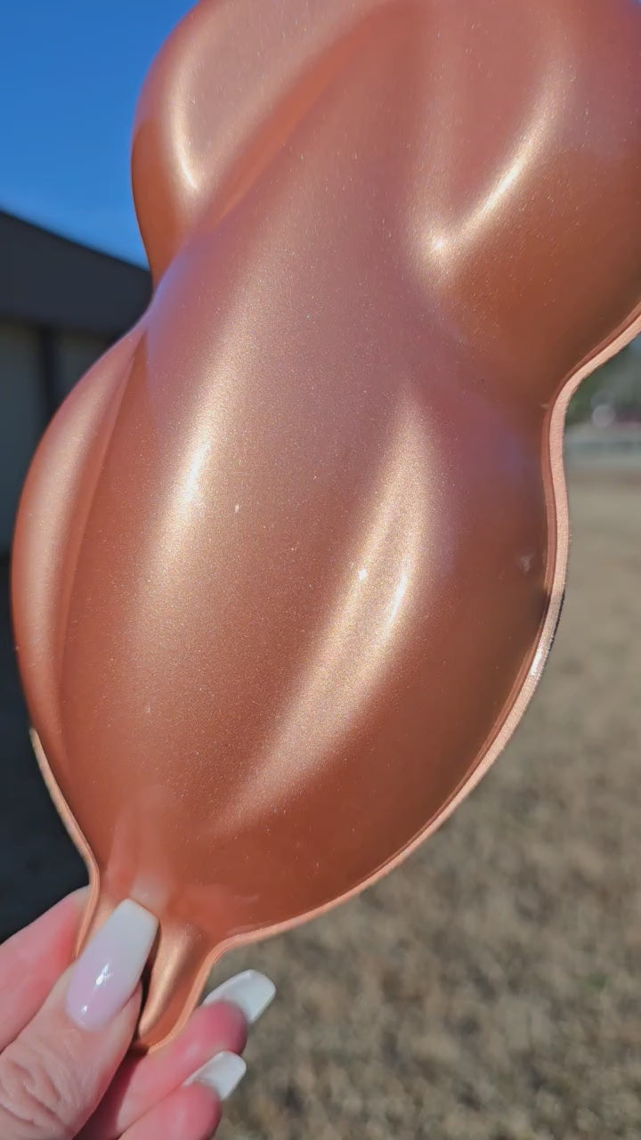 Tamco Paint Custom Color Shiny Penny Pearl 