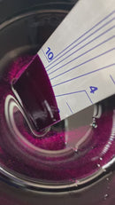 Tamco Custom Colors Candy Pearl Basecoat Grapeness