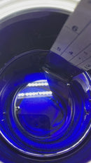 Tamco Candies  SoCal Blue - Candy Pearl Basecoat