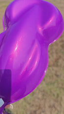 Tamco Paint Custom Color Moonberry