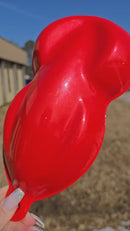 Tamco Paint Custom Color Ghost Pepper Red