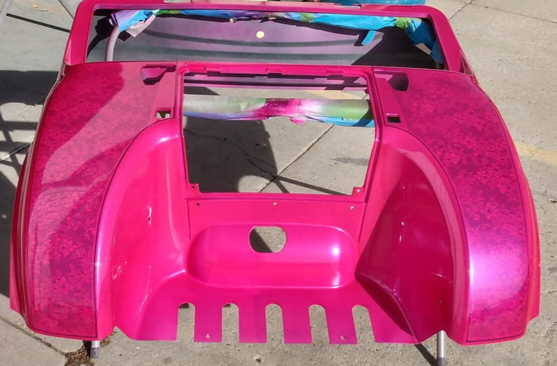 Tamco Paint Car Part Sexy AF Pink 