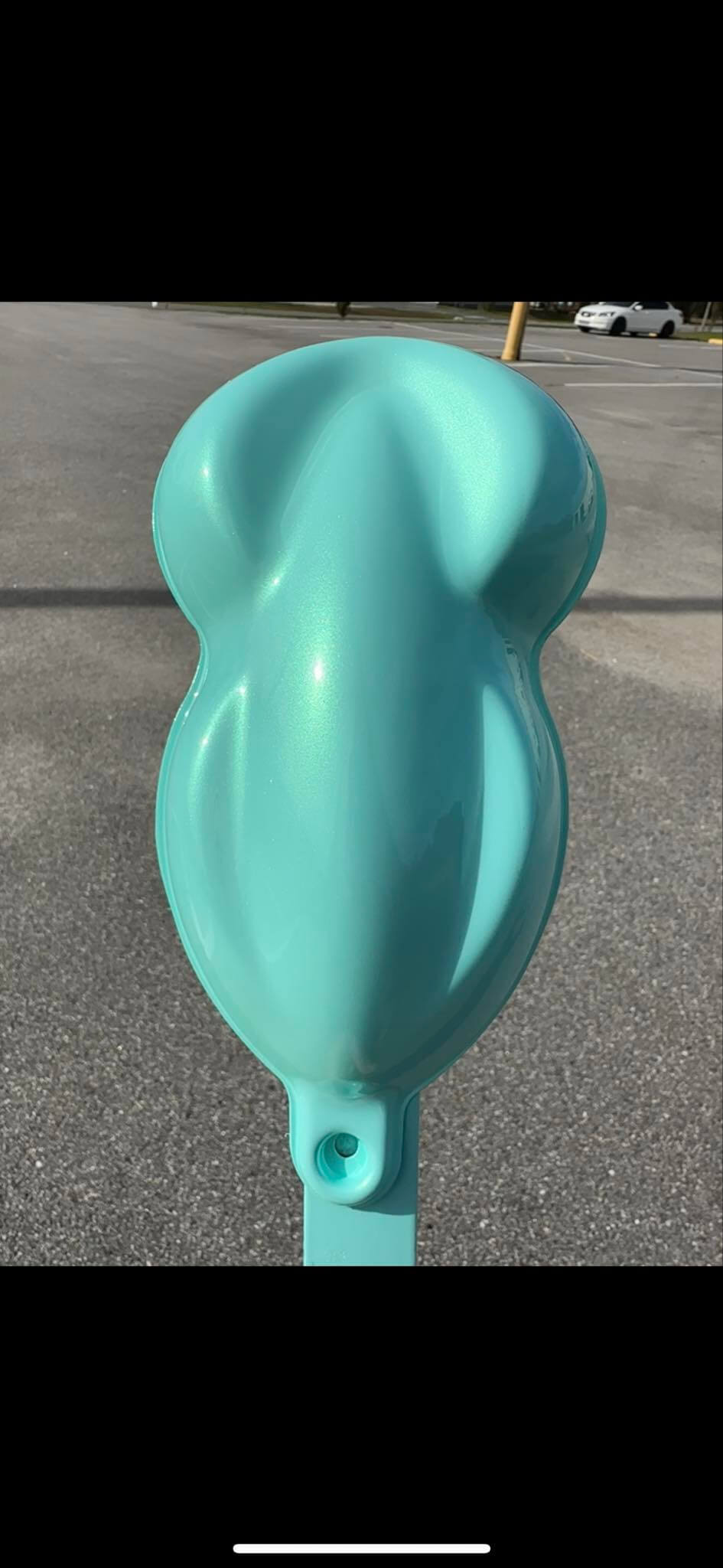 Tamco Paint Wintergreen Pearl  Speed Shape