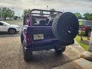 Tamco Paint Ford Bronco Magestic Purple Moon