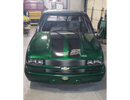 Tamco Paint Shamrock Green in Car Parts