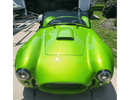 Tamco Paint Sublime Green in Shelby Cobra