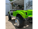 Tamco Paint Sublime Green in 2018 Golf Cart