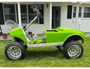 Tamco Paint Sublime Green in 2018 Golf Cart