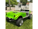 Tamco Paint Sublime Green in 2018 Golf Cart