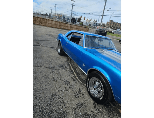 Tamco Throwback LeMans Blue | Custom Color | Amerflint II Series Singl