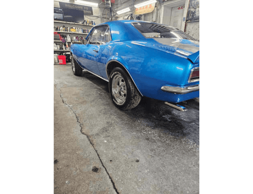 Tamco Throwback LeMans Blue | Custom Color | Amerflint II Series Singl