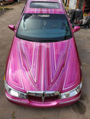 Tamco Paint You Cant Sit With Us in 2016 Lincoln Town Car