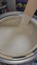 CHEVROLET ADOBE BEIGE CAN 7