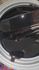 Absolute Black Pearl Color Paint